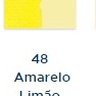Amarelo Limão-48